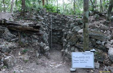 El Tintal