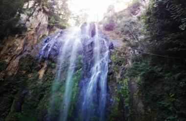 Jalpatagua