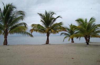 Bahía Francisca y Estero Lagarto