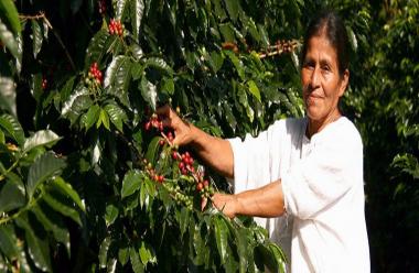 Cooperativa Chicoj