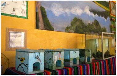 Museo del Príncipe Maya