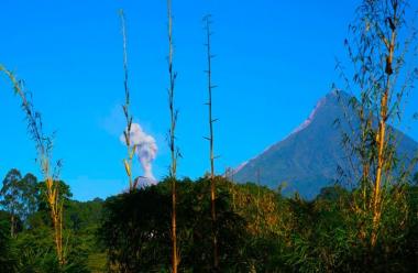 Finca de Café Las Nubes