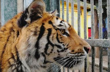 Parque Zoológico Minerva