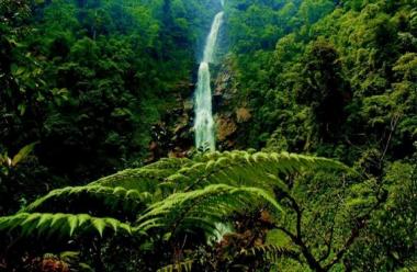 Salto de Chilascó