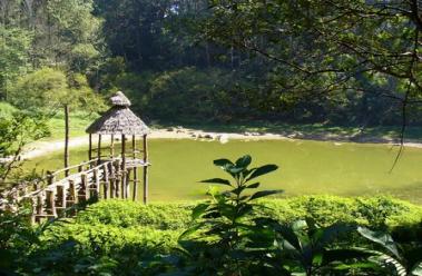 Parque Nacional La Colonia