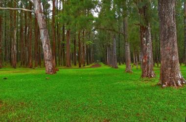 Reserva Natural El Nance