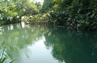 Río Zarco