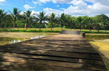 Finca El Profe