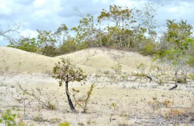 Desierto Río Azul
