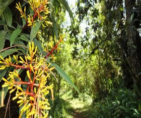 Reserva Natural Privada Posada del Quetzal