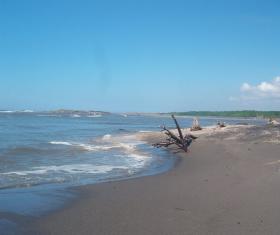 Playa El Semillero