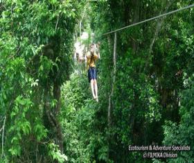 Canopy Tour Tikal