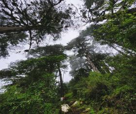 Parque Ecológico Quetzalí