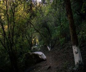 Parque Ecológico Quetzalí