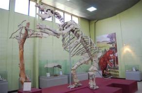 Museo de Paleontología y Arqueología de Estanzuela Roberto Woolfolk