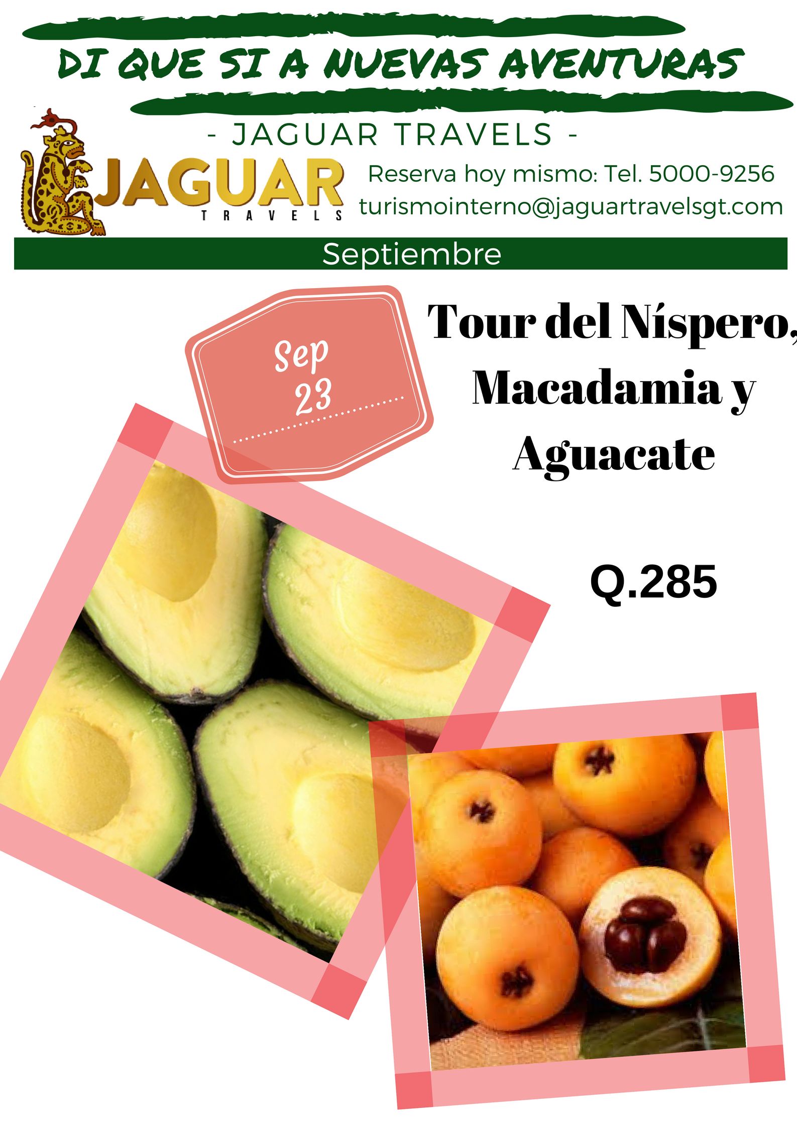 Tour del Níspero, Macadamia y Aguacate