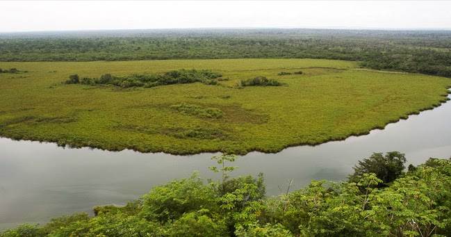Biotopo Laguna del Tigre -Río Escondido-