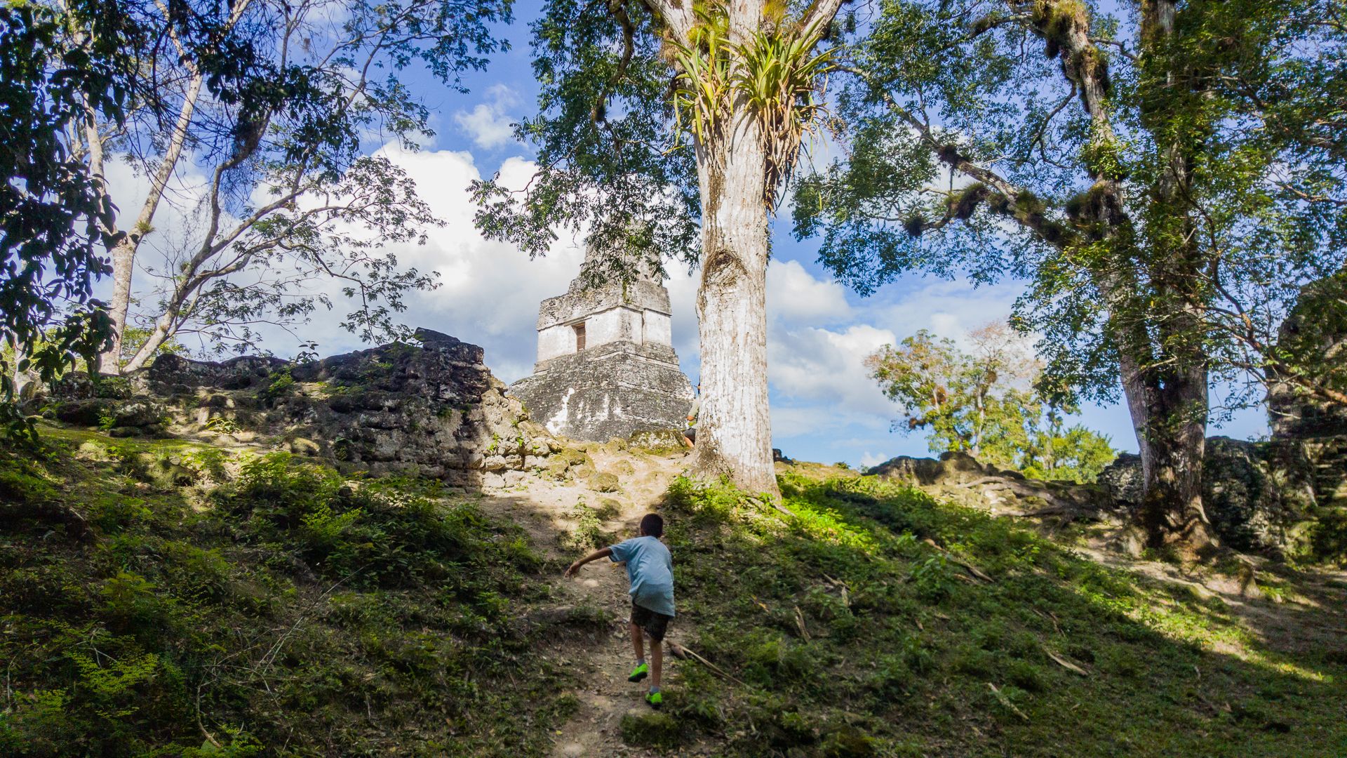 Parque Tikal 