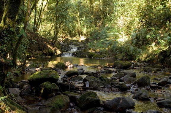 Reserva Natural Privada Ranchitos del Quetzal