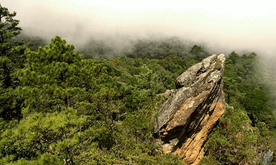 Reserva Natural Sierra de las Minas