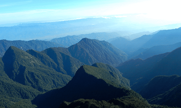 Reserva Natural Sierra de las Minas